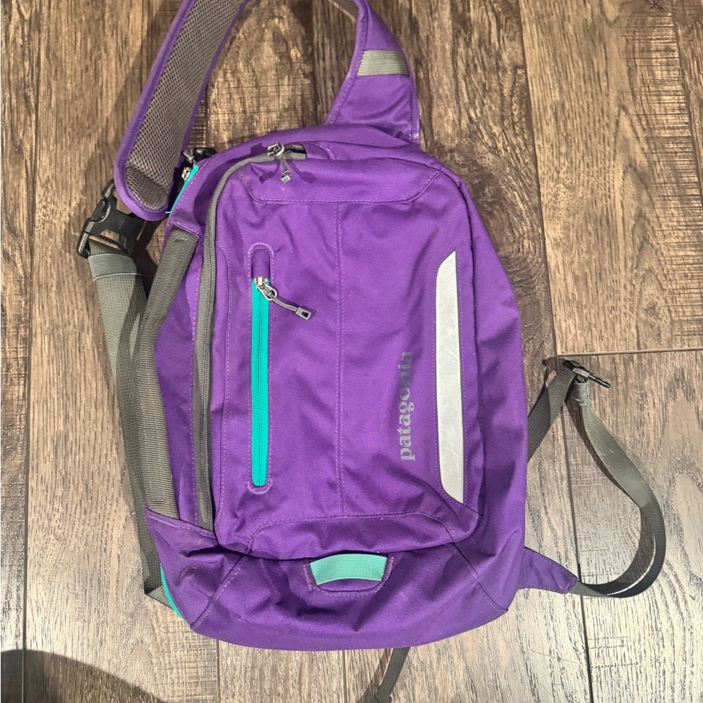 Patagonia Vibrant Purple Backpack